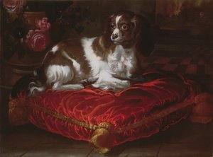 Spaniel su un cuscino da Spanish School