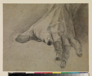 Studio di una mano sinistra, XVIII secolo da Spanish School