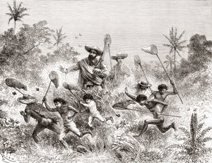 Édouard François André che cattura farfalle a Villavicencio, Venezuela durante la sua spedizione botanica ai piedi delle Ande nel 1875-76