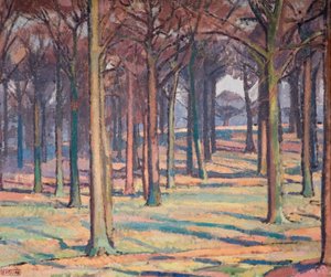 Bosco nel Richmond Park, 1914 da Spencer Gore