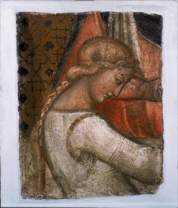 Salomè da Spinello Aretino