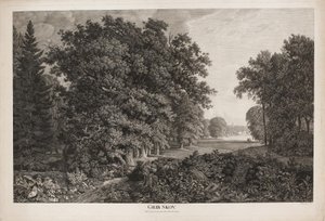 Foresta di Grib con vista su Esrum Sø verso Fredensborg da Søren Henrik Petersen