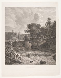Casa nel bosco da Søren Henrik Petersen