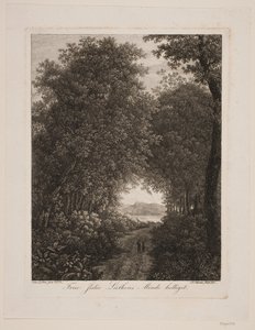 Strada nel bosco da Søren Henrik Petersen