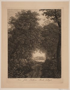 Strada forestale da Søren Henrik Petersen