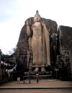 Il grande Buddha di Avukana. Sri Lanka. V secolo da Sri Lankan School
