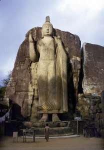 Il grande Buddha di Avukana. Sri Lanka. V secolo da Sri Lankan School
