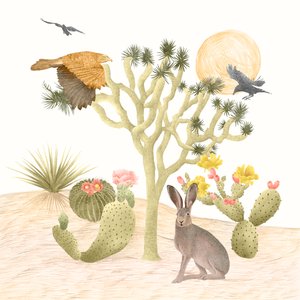 Deserto Mojave