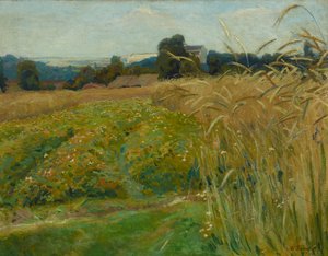 Paesaggio nei dintorni di Cracovia da Stanislaw Kamocki