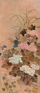 Fiori estivi da Sôtatsu