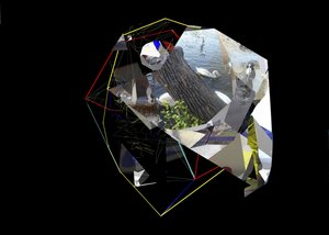 Cigni geometrici astratti da Stefan Fransson