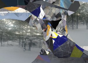 Paesaggio invernale frammentato
