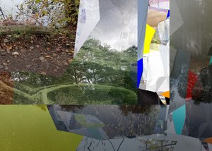 Natura urbana frammentata da Stefan Fransson