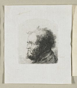 Testa di uomo barbuto di profilo rivolto a sinistra da Stefan Juliusz Norblin de la Gourdaine