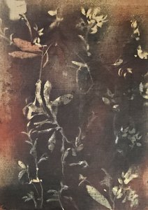  da Stefano Mazzolini