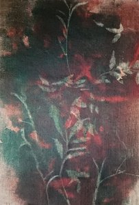 Serenità botanica oscura da Stefano Mazzolini