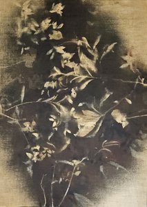 Ombre floreali suggestive da Stefano Mazzolini