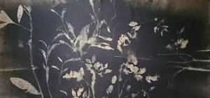 Fioritura nel giardino d