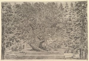 Un grande albero abitato al centro con rampe che girano intorno al tronco, sotto un sentiero di pietra..., ca. 1653 da Stefano della Bella