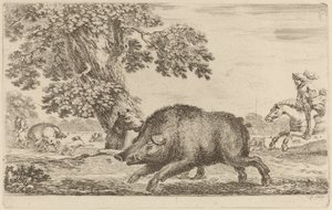 Cinghiale che Corre a Sinistra da Stefano della Bella