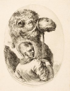 Ragazzo che tiene un cammello per la briglia, da Plusieurs Têtes Coiffées à la Persienne, pub. c. 1650 da Stefano della Bella