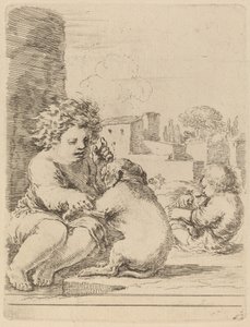 Bambino che gioca con un cane