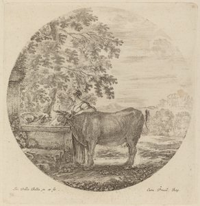 Mucca e giovane pastore a una fontana da Stefano della Bella