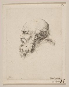 Testa di un vecchio calvo e barbuto di profilo, da Diversi capi e figure, 1650 da Stefano della Bella