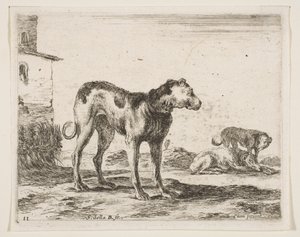 Tavola 11: cani, da Vari animali, ca. 1641