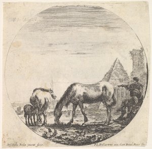 Tavola 11: la piramide di Caio Cestio a destra sullo sfondo, un cavallo che pascola, ca. 1643-48 da Stefano della Bella