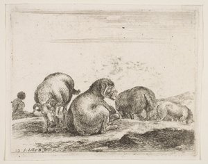 Pecore e ariete in un pascolo, da Diversi animali da Stefano della Bella