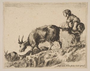 Tavola 14: pastorella che guida le capre, ca. 1641