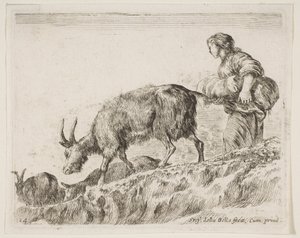 Tavola 14: pastorella che guida le capre, da Vari animali