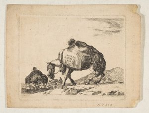 Tavola 1: un cavallo da soma, da 