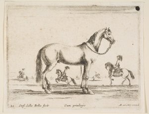 Tavola 21: cavallo, da Diversi animali, 1641 da Stefano della Bella