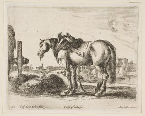Tavola 22: cavallo da tiro, da Vari animali Diversi animali da Stefano della Bella