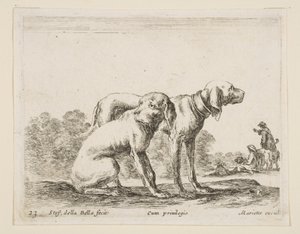 Tavola 23: due cani, da Vari animali da Stefano della Bella