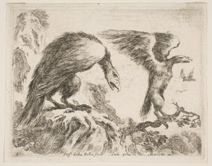 Tavola 2: aquila e aquilotto, da Vari animali, ca. 1641 da Stefano della Bella