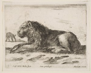 Tavola 5: leone sdraiato, da Vari animali da Stefano della Bella