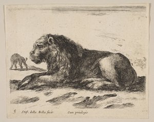 Tavola 5: leone sdraiato, da Vari animali Diversi animali, ca. 1641 da Stefano della Bella