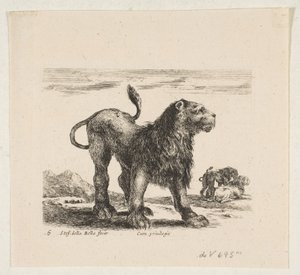 Tavola 6: leone, da 