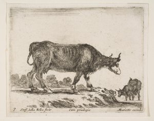 Tavola 7: bue, da Diversi animali