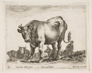Tavola 8: mucca, da Vari animali Diversi animali, ca. 1641 da Stefano della Bella