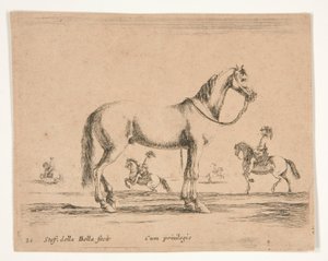 Cavallo senza cavaliere, con cavalieri che fanno dressage sullo sfondo da Stefano della Bella