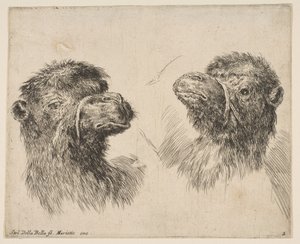 Due Teste di Cammello, ca. 1641 da Stefano della Bella