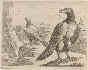 Due aquile, entrambe con la testa girata a sinistra da Stefano della Bella