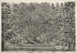 Vedute della Villa di Pratolino: l