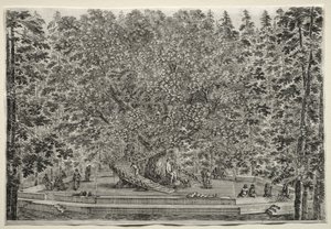 Vedute della Villa di Pratolino: L
