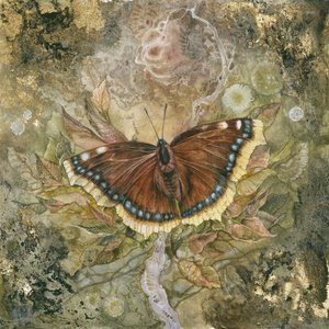  da Stephanie Law