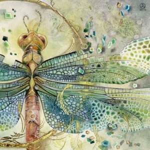 da Stephanie Law